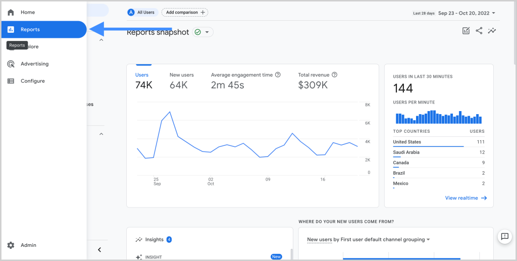 google-analytics-overview-screenshot