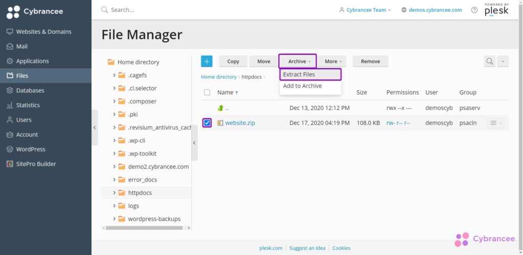 plesk-file-manager-extract-screenshot